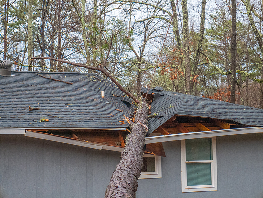 Emergency Tree Removal Storm Damage Services Stewartsville, Warren County, NJ