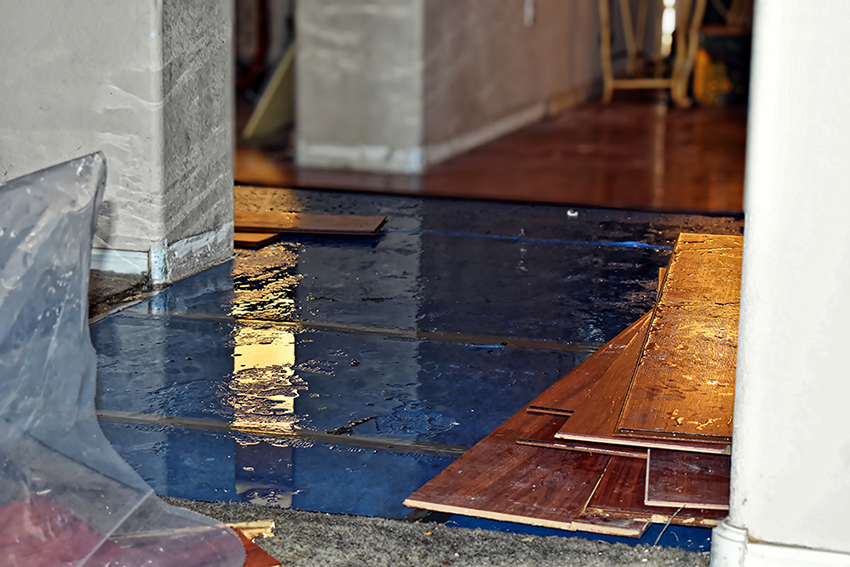 Emergency Water Flood Damage Cleanup Restoration Clark, Union County, NJ