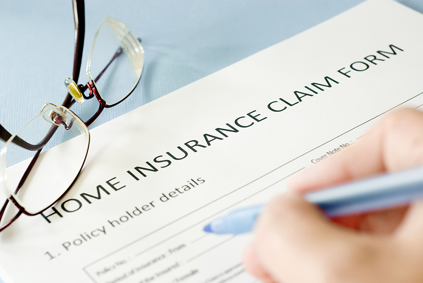 Insurance Claims Help Roof Tree Damage Assistance Rutherford, Bergen County, NJ