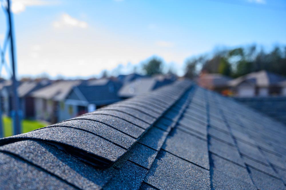 shingle roof